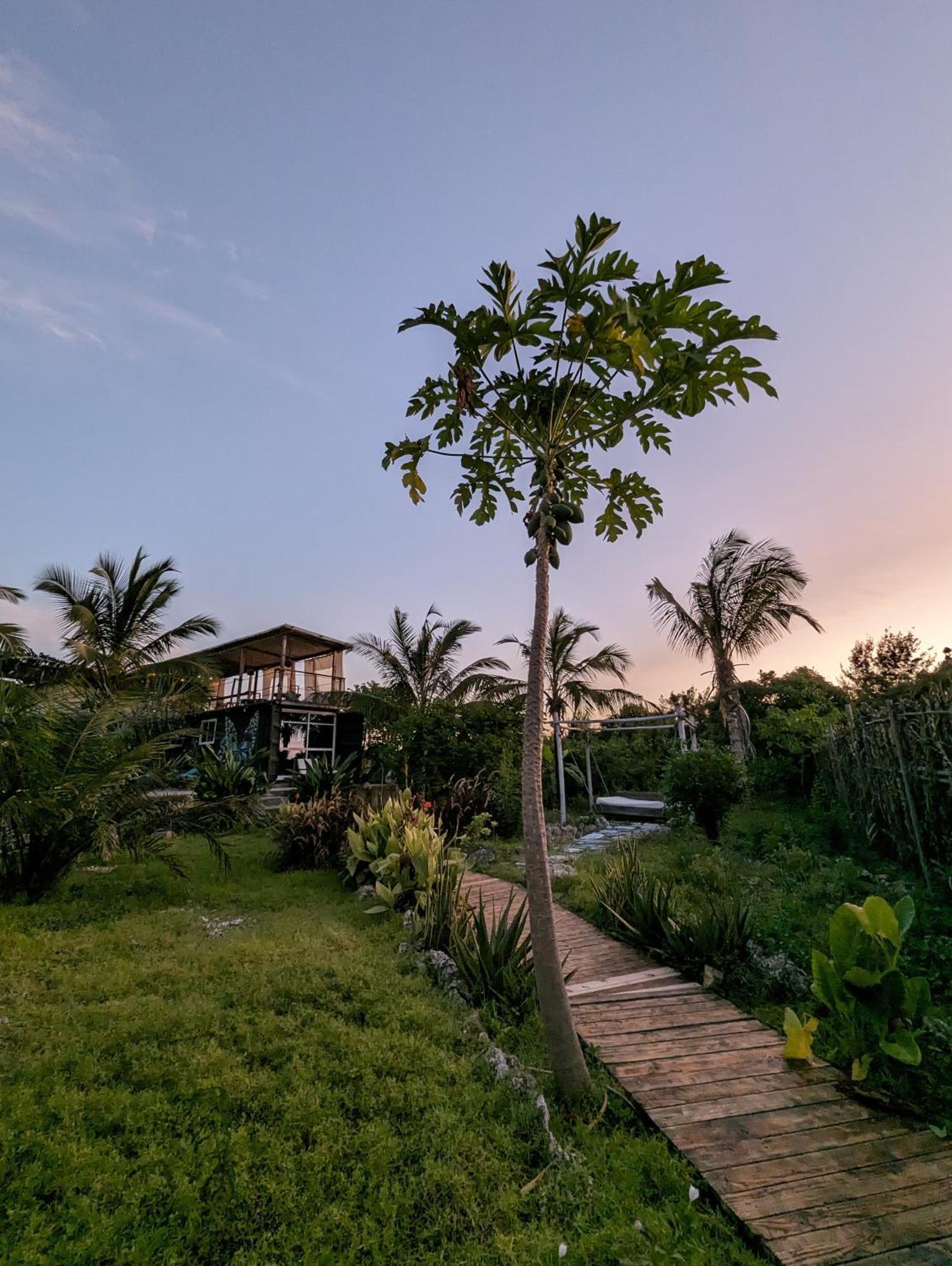 Jambiani Backpackers Hostel 外观 照片