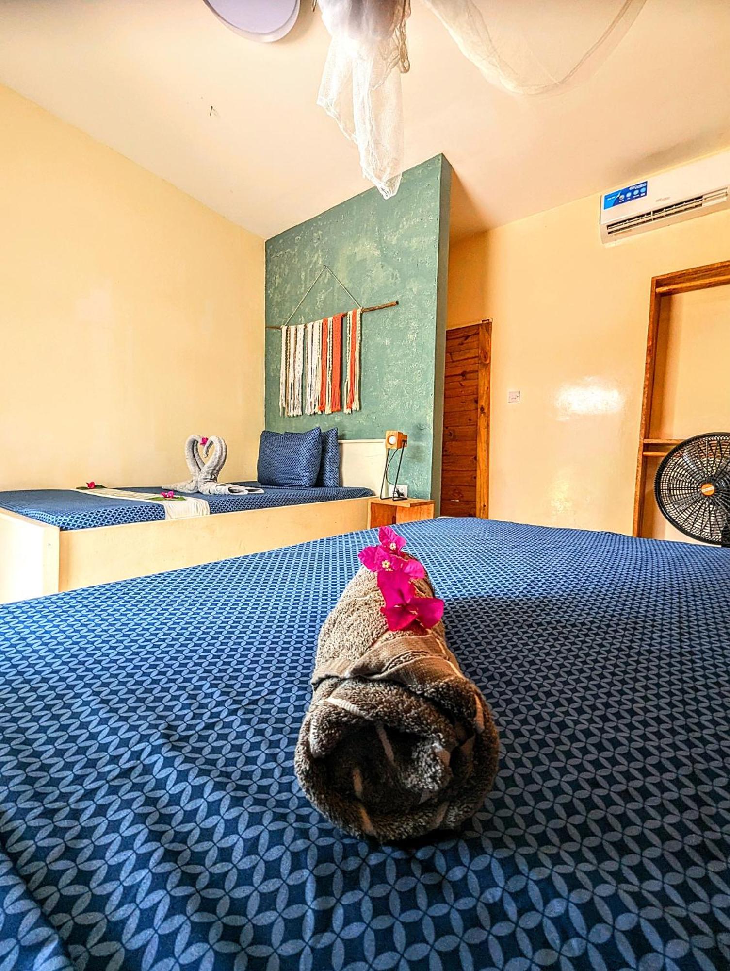 Jambiani Backpackers Hostel 客房 照片