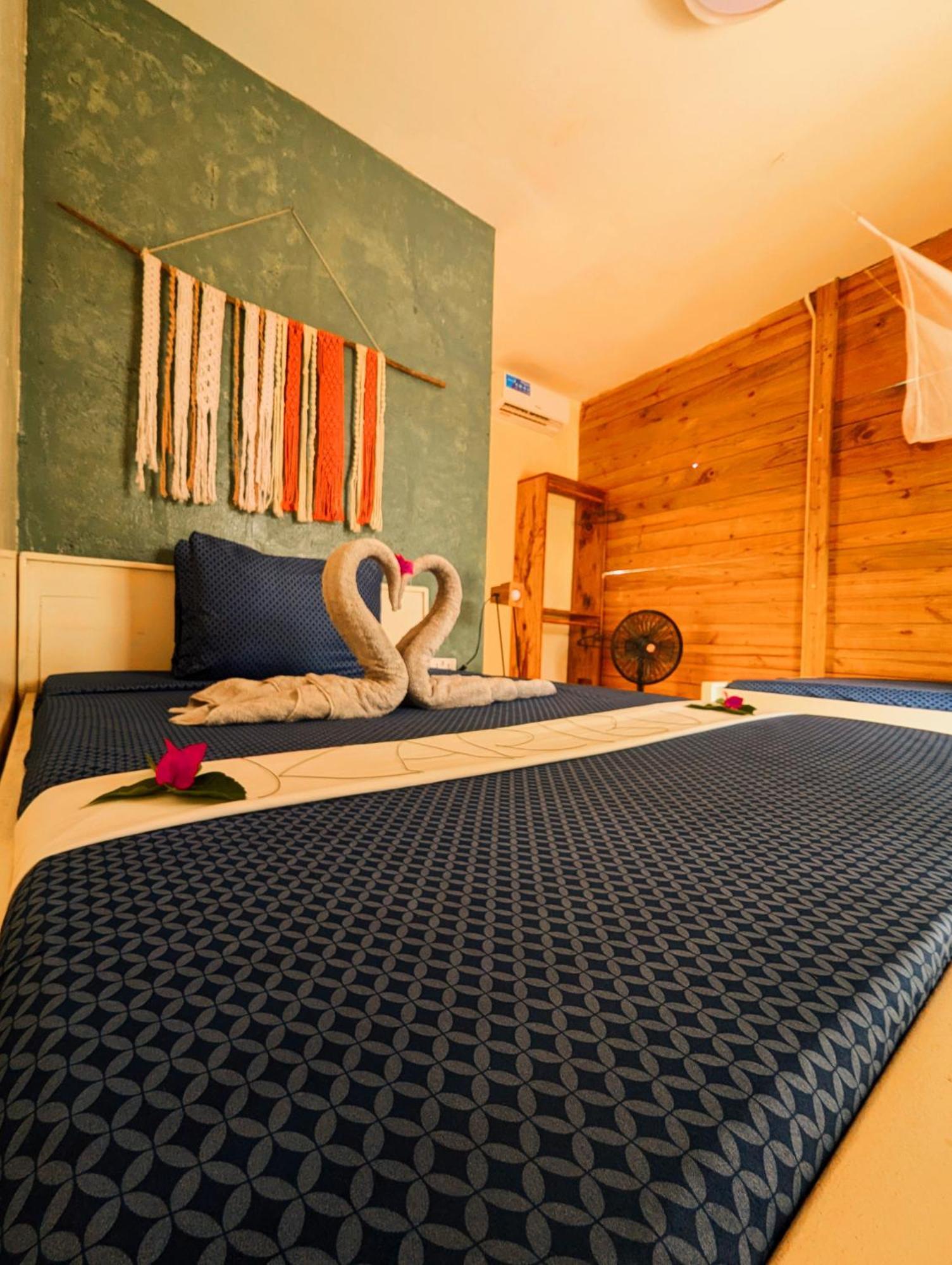 Jambiani Backpackers Hostel 外观 照片